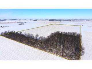 Property photo 25 - OHIO REAL ESTATE AUCTION - 202+/- ACRES IN 3 TRACTS IN VAN WERT COUNTY, OHIO